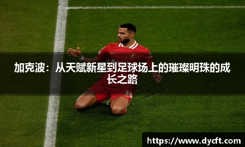 加克波：从天赋新星到足球场上的璀璨明珠的成长之路